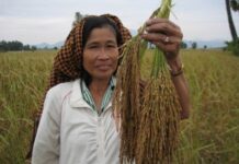 Déclaration ministérielle de soutien à l’agriculture familiale