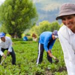 ¡La comunidad de países de lengua portuguesa aprueba las directrices de apoyo a la agricultura familiar!
