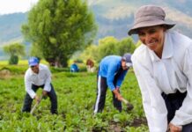 ¡La comunidad de países de lengua portuguesa aprueba las directrices de apoyo a la agricultura familiar!