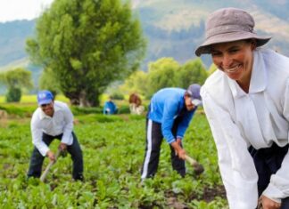 ¡La comunidad de países de lengua portuguesa aprueba las directrices de apoyo a la agricultura familiar!