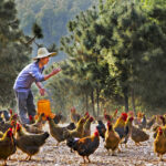NEW STUDY CONFIRMS THE NEED TO BETTER PRIORITIZE RURAL YOUTH IN POLITICAL AGENDAS