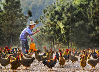 NEW STUDY CONFIRMS THE NEED TO BETTER PRIORITIZE RURAL YOUTH IN POLITICAL AGENDAS