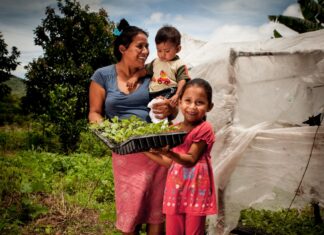 5 NEW NATIONAL COMMITTEES OF FAMILY FARMING CREATED OR IN THE PROCESS OF DEVELOPMENT IN 2017