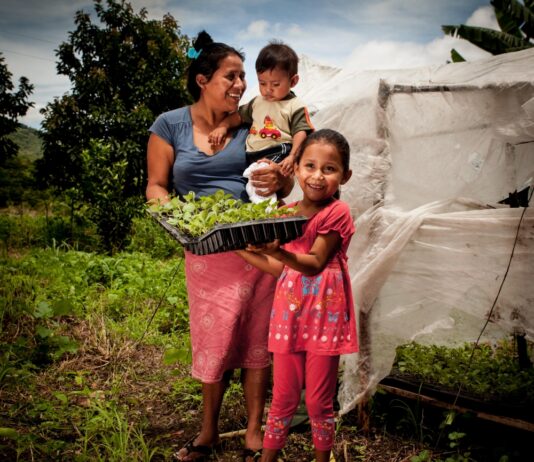 5 nuevos comités nacionales de agricultura familiar creados o en fase de conformación en 2017