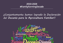 ADOPTION OFFICIELLE DE LA DÉCENNIE POUR L’AGRICULTURE FAMILIALE 2019-2028 PAR L’ASSEMBLÉE GÉNÉRALE DES NATIONS UNIES