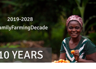 El decenio de la agricultura familiar cerca de ser declarado por la asamblea general de las naciones unidas