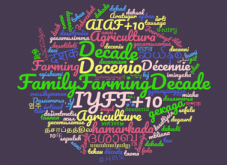 VI conferencia global, un decenio para la agricultura familiar