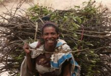 Avances en el proceso de elaboración de directrices para la agricultura familiar