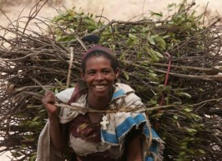 AVANCÉES DANS LE PROCESSUS D’ÉLABORATION DE DIRECTIVES POUR L’AGRICULTURE FAMILIALE