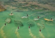 Rejoignez la campagne pour la Déclaration de la Décennie de l’Agriculture Familiale!
