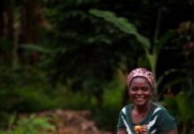 Avances en el apoyo al decenio de la agricultura familiar