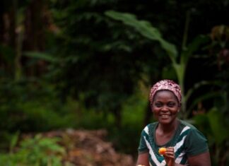Avances en el apoyo al decenio de la agricultura familiar