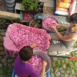 LA DECENNIE DE L’AGRICULTURE FAMILIALE, UN OUTIL POUR L’AUTONOMISATION ECONOMIQUE ET POLITIQUE DES FEMMES RURALES
