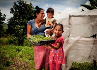 2º convocatoria del fondo de apoyo a las acciones de comités nacionales de agricultura familiar