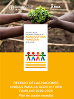 DECENIO DE LAS NACIONES UNIDAS PARA LA AGRICULTURA FAMILIAR 2019-2028