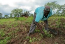 LES ORGANISATIONS INTERNATIONALES S’AJOUTENT À LA PRÉPARATION DE L’AIAF 2014