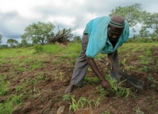 LES ORGANISATIONS INTERNATIONALES S’AJOUTENT À LA PRÉPARATION DE L’AIAF 2014