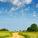 LA IMPORTANCIA DE TRAZAR UN CAMINO COMPARTIDO