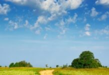 LA IMPORTANCIA DE TRAZAR UN CAMINO COMPARTIDO