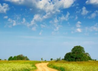 L’IMPORTANCE DE TRACER UN CHEMIN PARTAGÉ