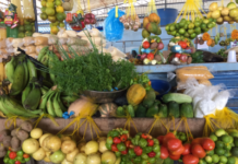 APPUI À L’AGRICULTURE FAMILIALE AU NIVEAU LOCAL