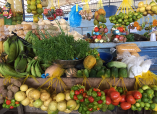 APOYO A LA AGRICULTURA FAMILIAR DESDE EL NIVEL LOCAL