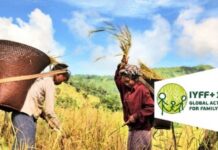 Comités Nacionales de Agricultura Familiar, clave en el impulso del AIAF+10