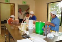 UNA OPORTUNIDAD ÚNICA PARA IMPULSAR LA AGRICULTURA FAMILIAR