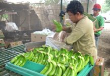 LA SOCIÉTÉ CIVILE À LA XIX REAF: L’AIAF-2014 DOIT ÊTRE UN « SUJET STRATÉGIQUE »