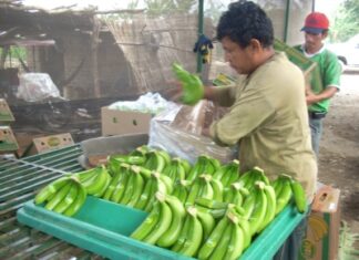 LA SOCIEDAD CIVIL DE LA XIX REAF PROPONE EL AIAF-2014 COMO «TEMA ESTRATÉGICO «