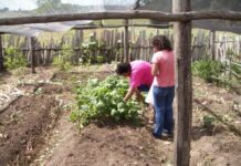 Primer aniversario de la declaración del AIAF 2014