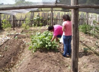 PREMIER ANNIVERSAIRE DE LA DÉCLARATION DE L’AIAF 2014.