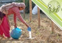 Concurso de fotografía AIAF-2014. ¡Última llamada a los participantes!