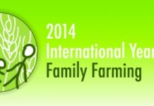 Lanzamiento del AIAF-2014 el 22 de noviembre de 2013