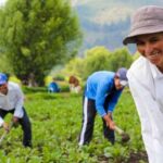 Family farming and the sustainable development agenda