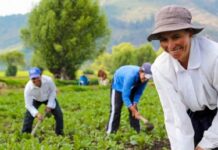 La agricultura familiar en la agenda de desarrollo sostenible