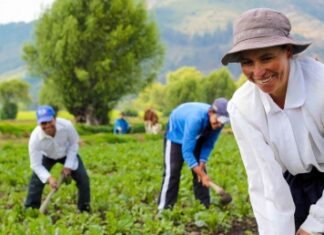 L’AGRICULTURE FAMILIALE DANS L’AGENDA DU DÉVELOPPEMENT DURABLE