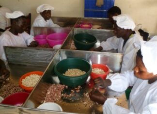 A HORIZON OF MOMENTUM FOR FAMILY FARMING