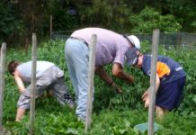 Arrancan los preparativos de la sociedad civil para el AIAF-2014 en Nueva Zelanda