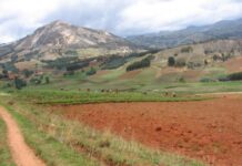 AIAF-2014, una oportunidad para intensificar el trabajo a favor de la agricultura familiar en países del Mercosur