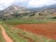 IYFF-2014, AN OPPORTUNITY TO INTENSIFY THE WORK IN FAVOUR OF FAMILY FARMING IN MERCOSUR