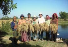 Nuevos focos de expansión del AIAF-2014 en el mundo