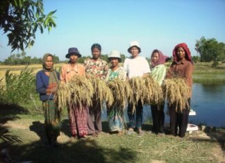 Nuevos focos de expansión del AIAF-2014 en el mundo