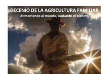 DECADE OF FAMILY FARMING: CONCEPT DOCUMENT