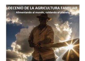 Decenio de la agricultura familiar: Documento conceptual