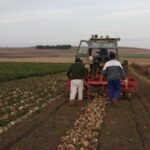 Las cooperativas, herramienta imprescindible para la agricultura familiar