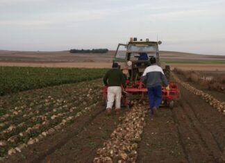Les coopératives, un outil indispensable pour l’agriculture familiale