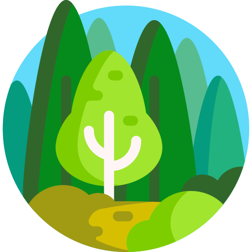 forest