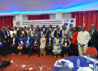África central avanza en la elaboración de su plan de acción del Decenio de la Agricultura Familiar