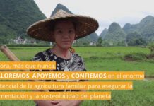 #COVID-19 ¡AGRADECIMIENTO A TODOS LOS AGRICULTORES Y AGRICULTORAS FAMILIARES DEL MUNDO!